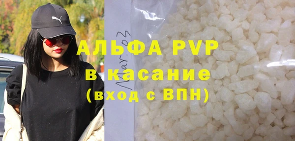 СК Алексин