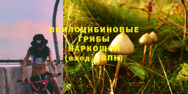хмурый Алексеевка