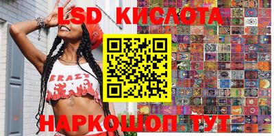 шишки Можга