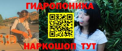 шишки Можга