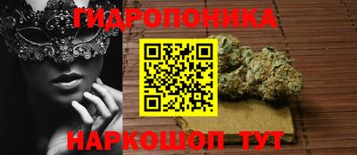 стаф Моздок