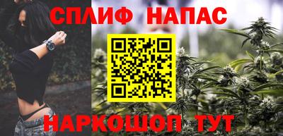 шишки Можга