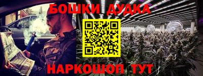 стаф Моздок
