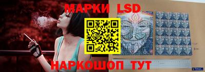 шишки Можга
