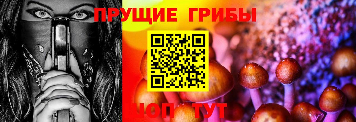 Усть-Кут  Псилоцибиновые грибы GOLDEN TEACHER  Вход с VPN 
